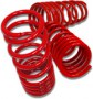 lowering_springs-small.jpg